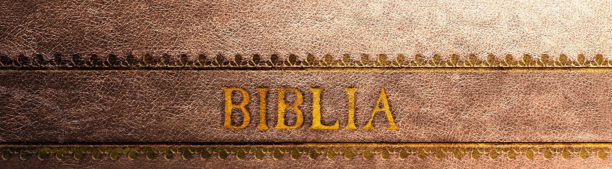 Biblia_Kopf_cmyk